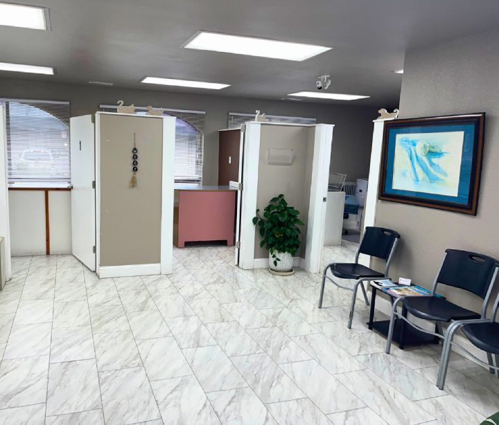 A clean waiting room with chairs, partition walls, and a plant.